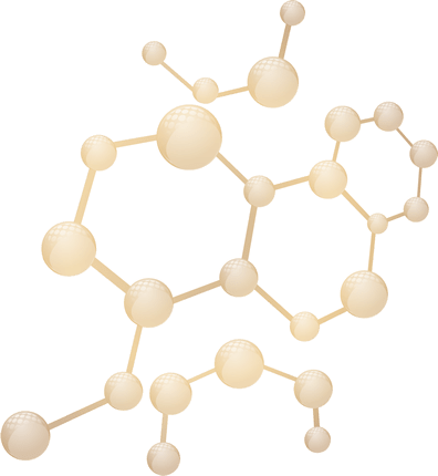 molecular structure of NMN